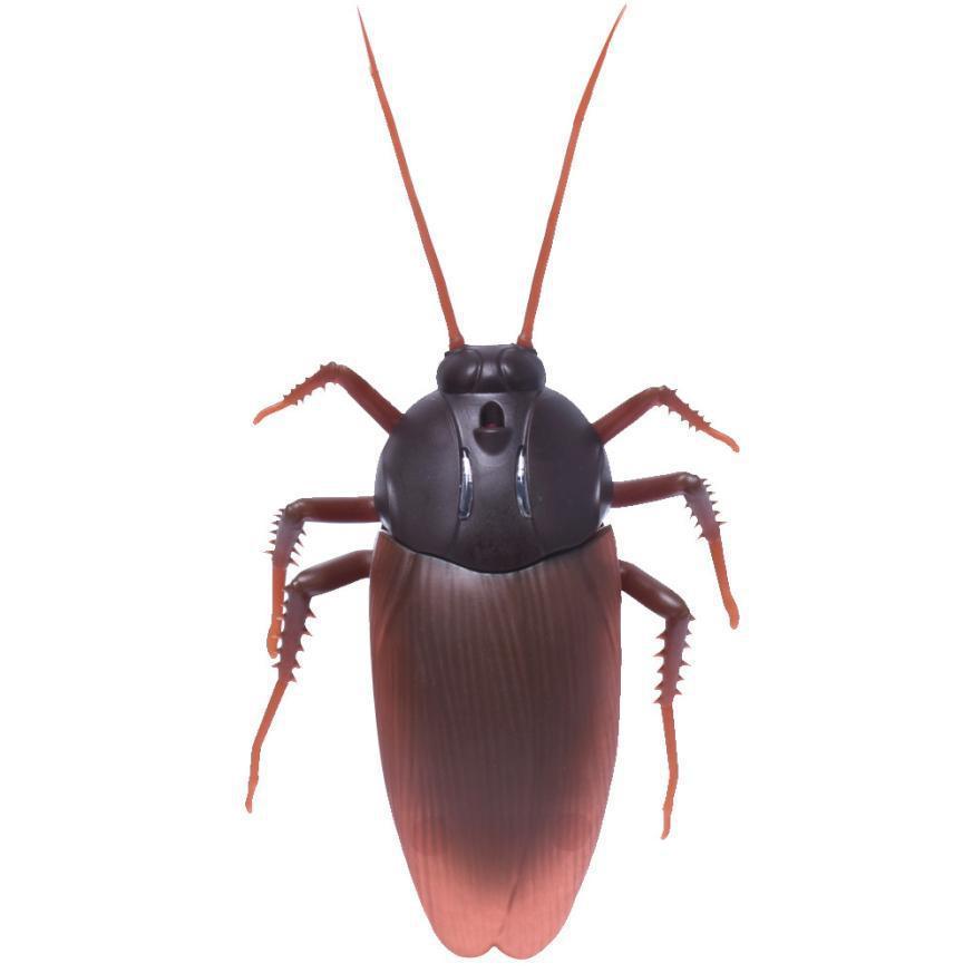 Tricky Infrared Remote Control Cockroach - CozyBuys