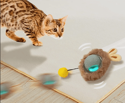 Smart Ball Toy - CozyBuys